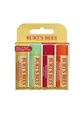 Produktbild: Burt's Bees Lip Balm Freshly Picked