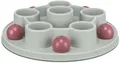 Produktbild: TRIXIE Pentagon Katzen-Strategie-Spiel - mit Vertiefungen und 5 Abdeckkugeln - rutschfest - spülmaschinenfest - ø 28 cm - 45895