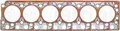 Produktbild: ELRING 490.150 Dichtung, Zylinderkopf für BHARATBENZ,BREDAMENARINIBUS,MERCEDES-B