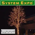 Produktbild: System Expo Lichterkette-Start 100er klar 10m Best Season 484-02
