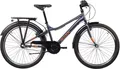 Produktbild: S’COOL Jugendfahrrad S'COOL troX, 3 Gang Shimano, Nabenschaltung, 26 Zoll, Jugendliche, mit Gepäckträger und Schutzblech