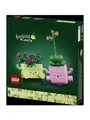 Produktbild: LEGO, Botanicals, Rocking Plants e1bb4bf1bc71cbc3