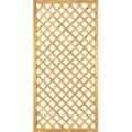 Produktbild: T&J DIAGONAL Rankzaun 6 x 6 / 90 x 180 cm - Grün