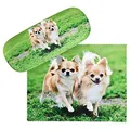 Produktbild: VON LILIENFELD Brillenetui Chihuahuas Motiv Etui Brille Mikrofaser Brillenputztuch Brillenbox Stabiles Hardcase Set mit Stoff bezogen