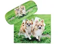Produktbild: Chihuahuas - Hartschalen-Etui mit Microfaserbezug und passendem Tuch | NEU