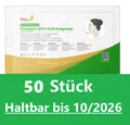 Produktbild: 50x Hotgen Haltbarkeit 10/26 Corona Schnelltest Laientest Selbsttest COVID 19