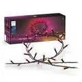 Produktbild: Philips Hue Festavia Lichterkette, White & Color Ambiance, dimmbar, 500 Mini LED