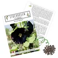Produktbild: Stockrosen Samen zweijährig (Alcea Rosea) - Wunderschöne Rosen mit langer Blütezeit für besondere Akzente in Ihrem Blumenbeet (Schwarz)