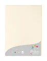 Produktbild: Clairefontaine 24204C Packung mit 25 Karten Pollen 210g, DIN A4, 21 x 29,7cm, Elfenbein
