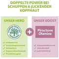 Produktbild: alkmene Haartonikum Teebaumöl Kopfhaut Tonikum Juckreiz Linderung 100% bestätigt - vegan, 1-tlg.