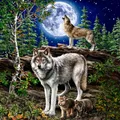 Produktbild: 20 Servietten Tiermotive Wölfe am Mond als Tischdeko. Papierservietten mit Motiv. Wolfservietten Tiere im Wald mit Wolfsmotiv bei Mondschein. Auch für Decoupage und Serviettentechnik 33x33cm