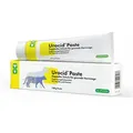 Produktbild: 100 g Urocid Paste