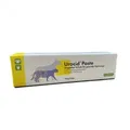 Produktbild: Urocid Paste 100g