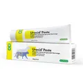 Produktbild: CP- Pharma Urocid Paste 100 g | Hunde | Katzen | Struvitsteine
