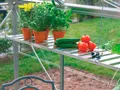 Produktbild: Vitavia Wandregal, Alu, BxT: 120x31 cm