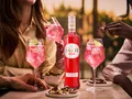 Produktbild: SARTI Rosa Aperitivo 14% vol
