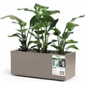 Produktbild: Euro3plast Greener Kebe (99.50 x 39.50 x 39.50 cm) (3154.G9)