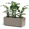 Produktbild: Pflanzkübel Greener KEBE Kunststoff 99,5 x 39,5 x 39,5 cm taupe inkl. Rollen und Zwischenboden - Taupe