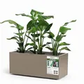 Produktbild: Euro 3 Plast Kebe Kiste aus recyceltem Kunststoff mit integriertem Wasserspeicher, 100 cm, Farbe Taupe
