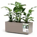 Produktbild: Euro3plast Greener KEBE 3154.G9Pflanzkasten Kunststoff Taupe