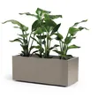 Produktbild: Pflanzkasten Blumenkasten Blumentopf GREENER KEBE 100 cm taupe mit Rollen Kasten