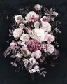 Produktbild: Vlies-Fototapete KOMAR BOUQUET NOIR, 4 Teile, BxH 200 x 250 cm