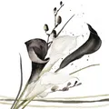 Produktbild: 20 Servietten Black & White Calla Blumen Trauer Natur schwarz-weiß Deko 33x33cm