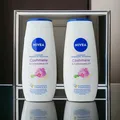 Produktbild: NIVEA Cashmere & Cottonseed Oil Pflegedusche Öl 2 x 250ml Körperpflege