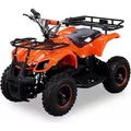 Produktbild: Pocketquad Miniquad Quad Kinderquad Quad Pocketbike 800w Orange RV- Racing - Orange