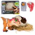 Produktbild: Primal Hatch Jurassic World Dino-Ei schlüpft T-Rex interaktiv Spin Master