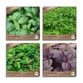 Produktbild: Samenliebe BIO Basilikum Samen Set mit 4 samenfesten Kräutersamen Sorten für Küche indoor und Balkon Garten Basilikum BIO Kräuter Saatgut