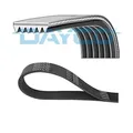 Produktbild: Dayco 6PK1565 Keilrippenriemen für Citroën Fiat Toyota Peugeot