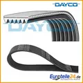 Produktbild: Keilrippenriemen DAYCO 6PK1565 für Peugeot 206 Schrägheck