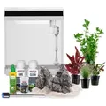 Produktbild: Aquaristikwelt24 - Hne 300 Nano Aquarium – 13 L Komplettaquarium Inkl. Deko