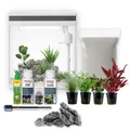 Produktbild: AquaOne Aquarium Komplettset LED mit Pumpe HNE-300 I Kleines Nanoaquarium 13 Liter mit Filteranlage I Mini Nano Becken Set für Fische und Garnelen
