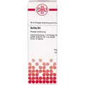 Produktbild: DHU Scilla D4 Dilution, 20 ml Lösung