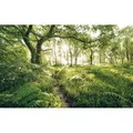 Produktbild: Komar Fototapete Vlies Mystic Path  400 x 250 cm