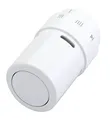 Produktbild: Danfoss 013G6070 RAX Heizkoerperthermostat mechanisch 8 bis 28 °C|RAL 9016
