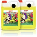 Produktbild: 2x SONAX 5 L SCHEIBENREINIGER GEBRAUCHSFERTIG LEMON ROCKS SCHEIBENWISCHWASSER