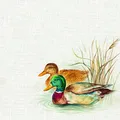 Produktbild: IHR Ideal Home Range - Papierservietten HUNTED DUCKS cream 20 St. Lunch-Servietten 33 cm x 33 cm