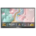 Produktbild: SYLVOX Outdoor TV, 65 Zoll Smart TV wasserdichte Outdoor Fernseher, 4K Fernseher für draußen, Unterstützung Google Assistant, Bildschirmspiegelung, 1000 nits Helligkeit Partial Sun (Deck Pro 2.0)