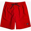Produktbild: QUIKSILVER Herren Badeshorts 