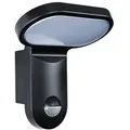 Produktbild: ESYLUX LED-Automatikleuchte AOLWL200OP1600830MDB EL10750816 - Schwarz