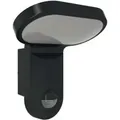 Produktbild: ESYLUX LED-Automatikleuchte 3000K 140Gr sw BWM AOLWL200OP1400830MDB
