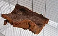Produktbild: Ollesch Vogelspielplatz Korksitzbrett 15x10cm für Wellensittich zum Knabbern und Spielen