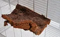 Produktbild: Korksitzbrett 15x10cm für Wellensittich, Nymphensittich zum Knabbern und Spielen