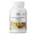 Produktbild: Warnke Vitalstoffe | Extrait de marronnier d'Inde 300 mg