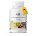 Produktbild: Rosskastanienextrakt Kapseln - 300mg pro Kapsel - 120 Kapseln - schluckfreundlich - hochdosiert - vegan - mit 20% Aescin | HERBADIREKT by Warnke Vitalstoffe - Deutsche Apothekenqualität