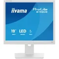 Produktbild: Iiyama B1980S-W1 Monitor