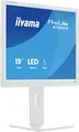 Produktbild: Iiyama ProLite LED-Monitor EEK D (A - G) 48.3cm (19 Zoll) 1280 x 1024 Pixel 5:4 3 ms TN LED